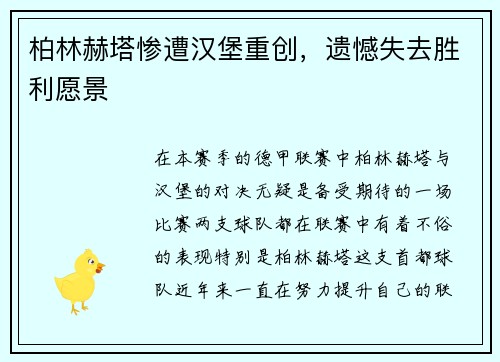 柏林赫塔惨遭汉堡重创，遗憾失去胜利愿景